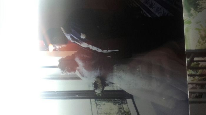Altre foto matrimonio imma&claudio - 6