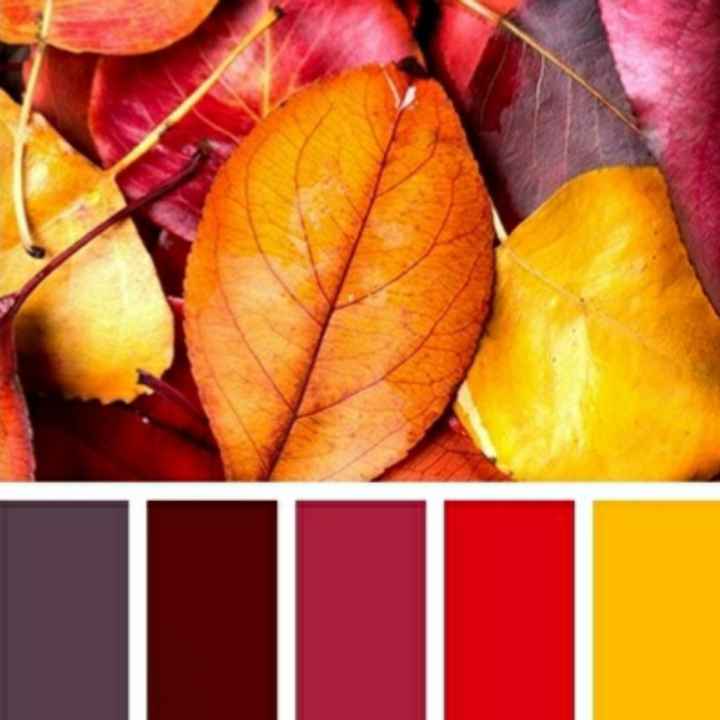Matrimonio Ottobre 2021, Tema e Colori! - 1