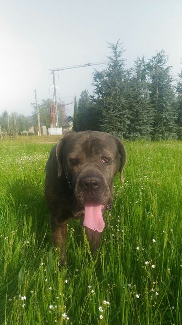 Il regalo più prezioso - 1