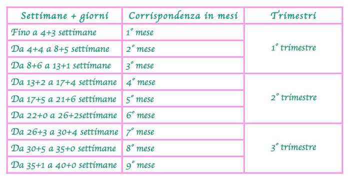 Quando finisce il primo trimestre?? - 1