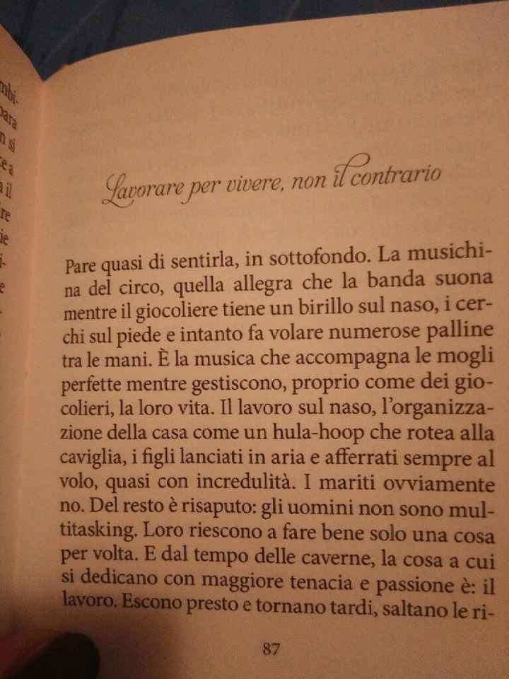 Il manuale della moglie perfetta - 1