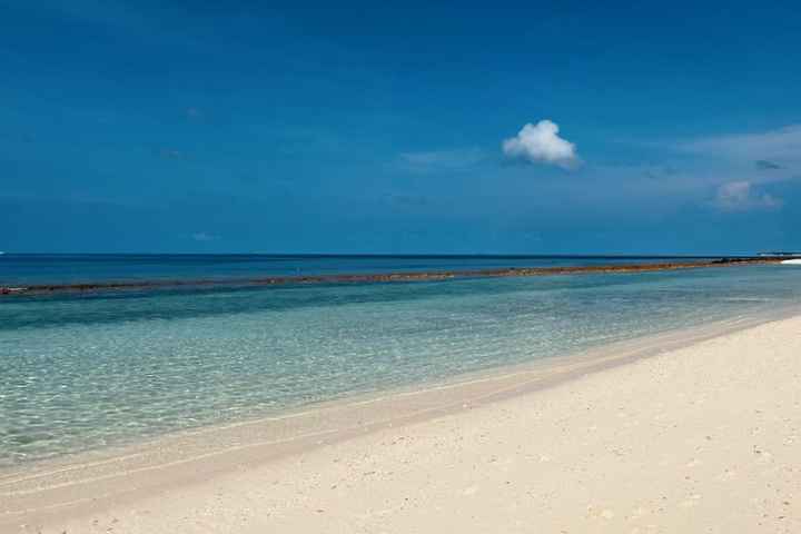 Maldive… dove? - 1