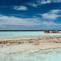 Maldive… dove? - 2