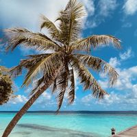 Ciao a tutti, Pro e contro - 3