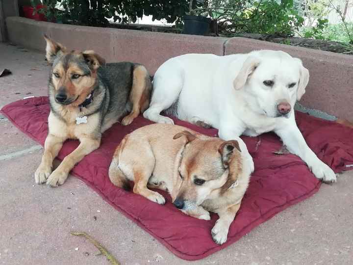 Partecipazioni 😍 - 1