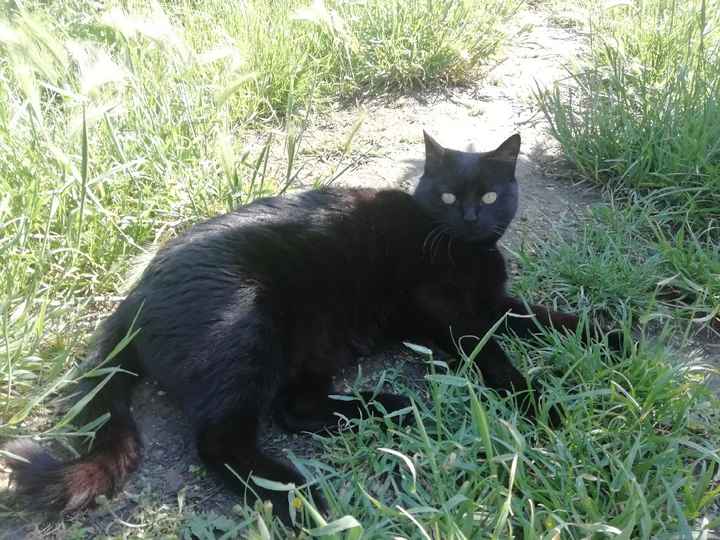 Partecipazioni 😍 - 3