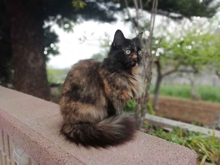 Partecipazioni 😍 - 4