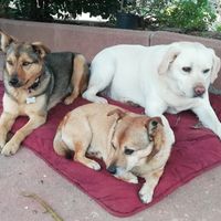 Partecipazioni 😍 - 1