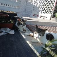 Partecipazioni 😍 - 2