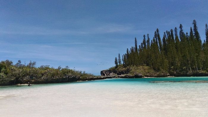 piscine naturali