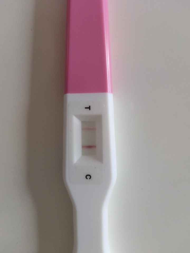 Per chi non le aspetta Maggio,Giugno,Luglio 2024🍀🐞 - 1