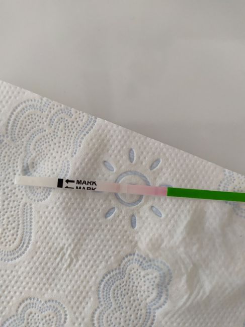 Test ovulazione canadesi 3