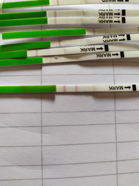 Test ovulazione canadesi 2