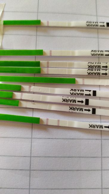 Test ovulazione canadesi 1