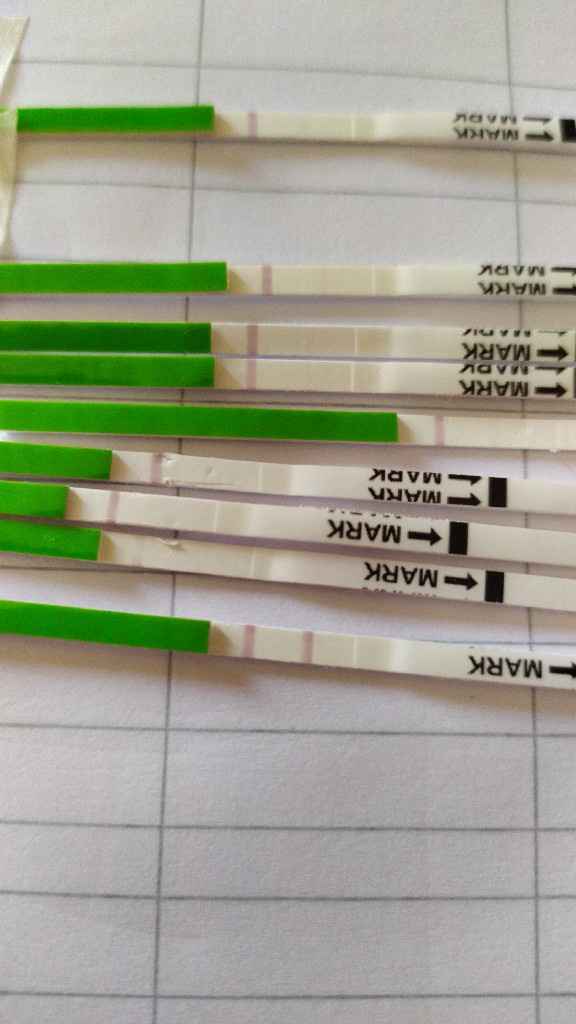 Test ovulazione canadesi - 1