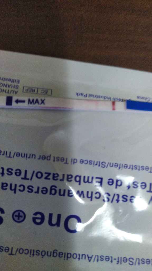 Incinta o non incinta? - 1