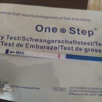 Incinta o non incinta? - 1