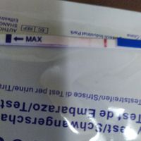 Incinta o non incinta? - 1