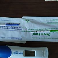 Incinta o non incinta? - 1