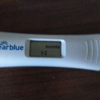 Incinta o non incinta? - 1