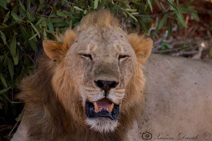  Viaggio di nozze Kenya - 4