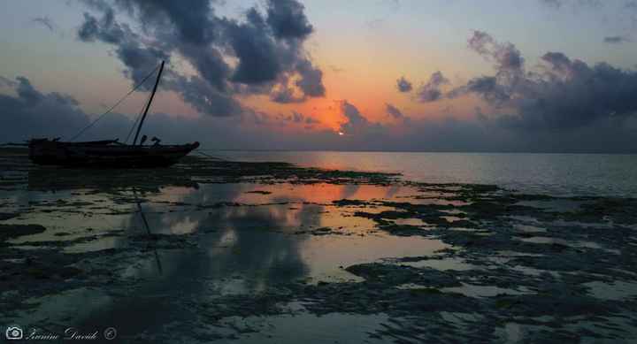  Viaggio di nozze Kenya - 5