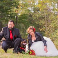  Spose 2017 come state? - 1