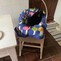 Future mamme ottobre 2020 - 1