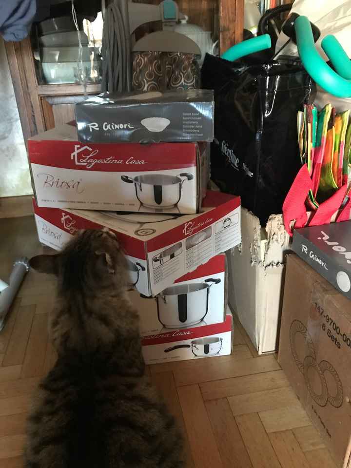 Piano piano! sempre più vicini - 3