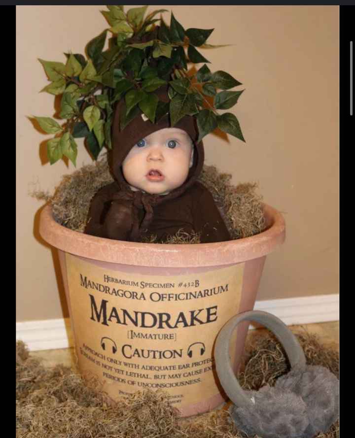 Future mamme ottobre 2024 - nuovo gruppo - 1