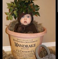 Future mamme ottobre 2024 - nuovo gruppo - 1