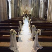 Ortensie bianche - 1