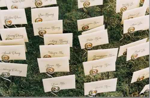 cavalierini su prato