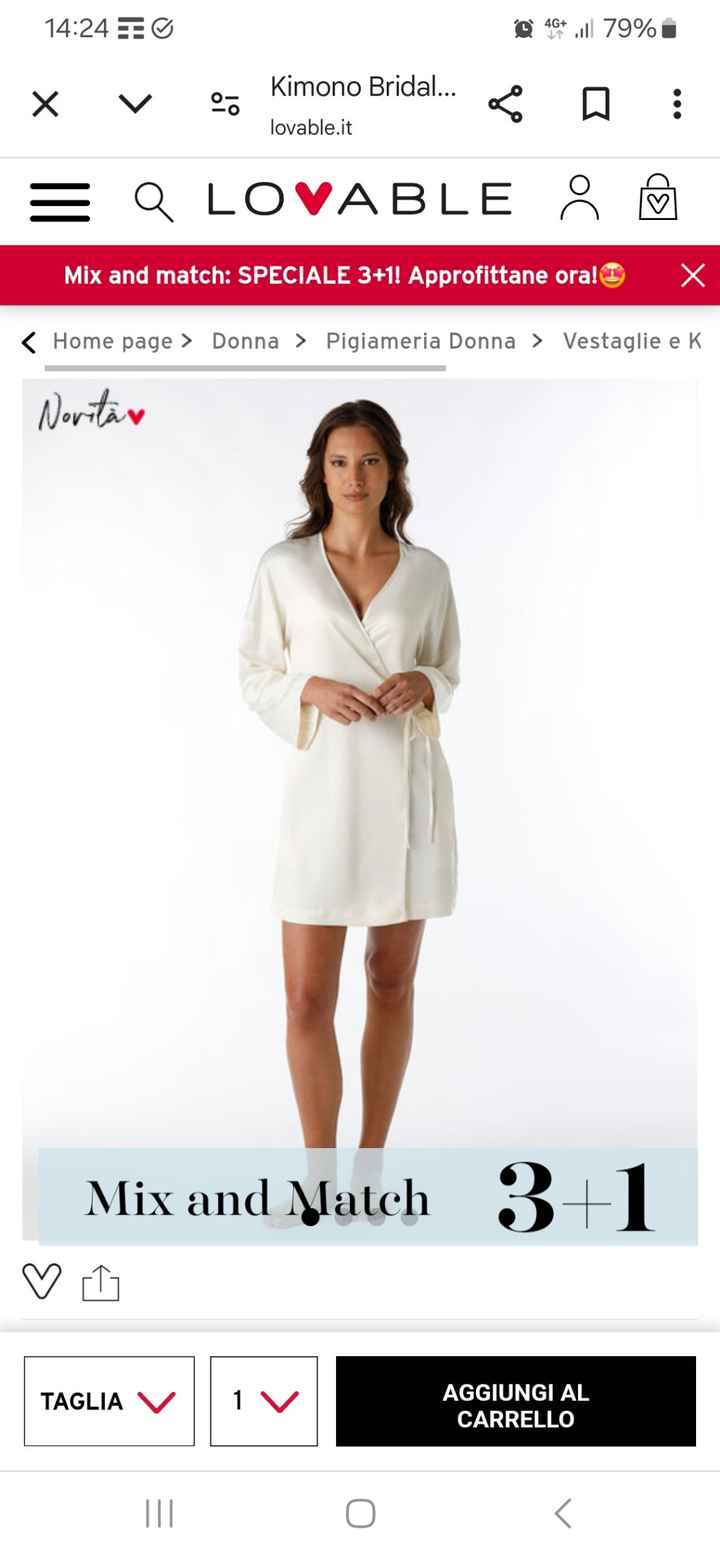 Consiglio ciabattine - 1