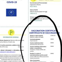 Cosa serve per volare in America - 1