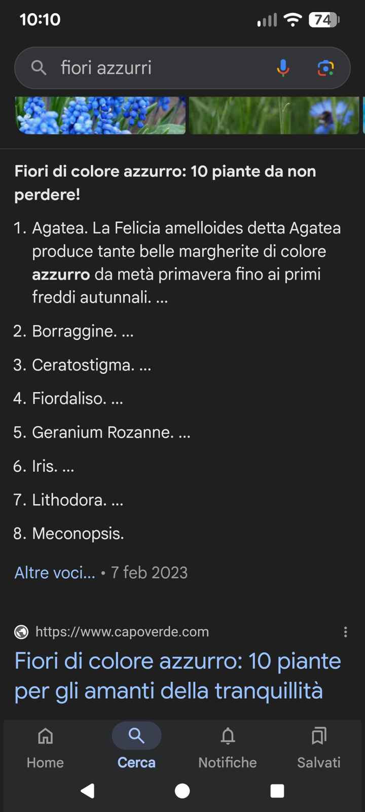 Tema del matrimonio - 1