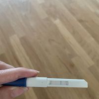 Chi non le aspetta per Giugno 2022 🌻🤰🏻♥️ - 1