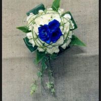 Ma è così strano volere dei fiori blu ?? - 1