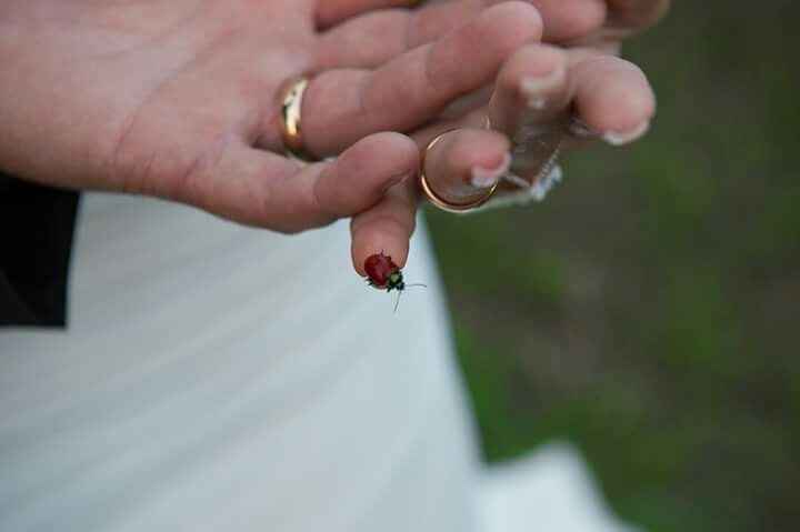 Un giorno meraviglioso - 5