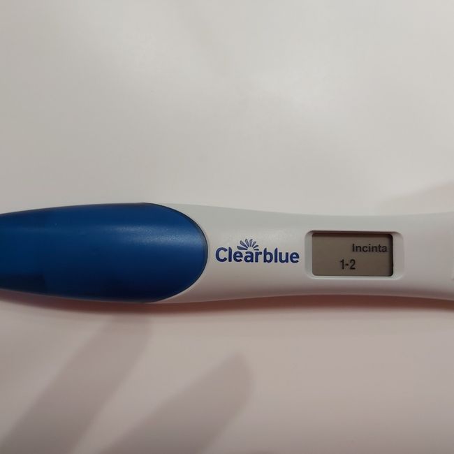 Chi non le aspetta per Dicembre 2020 🍀❣️🎄🎁🎀🌠 - 1