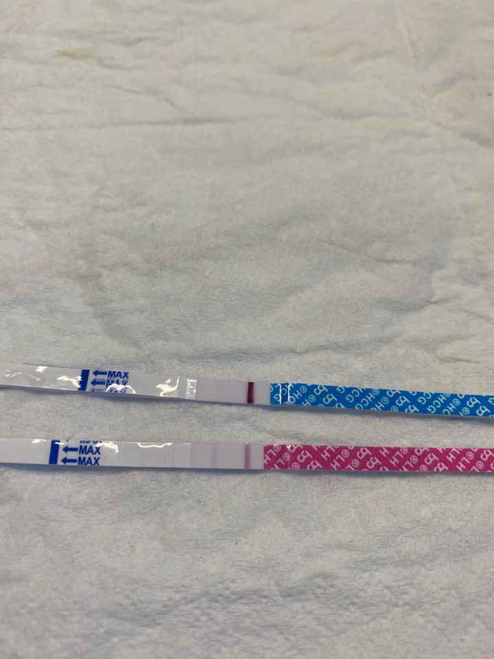 Chi non le aspetta per giugno 2020🥰🤞🏻 - 1