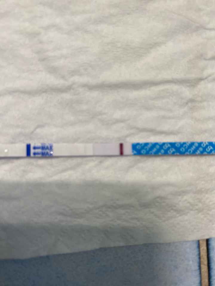 Chi non le aspetta per giugno 2020🥰🤞🏻 - 1