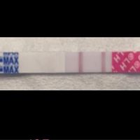 Test ovulazione come test precoce gravidanza.. - 1