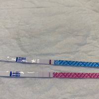 Chi non le aspetta per giugno 2020🥰🤞🏻 - 1