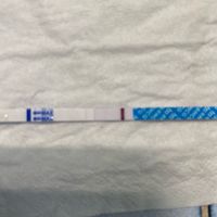 Chi non le aspetta per giugno 2020🥰🤞🏻 - 1