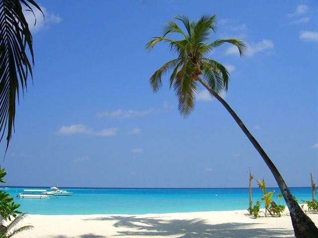 ? maldive.. ma quale atollo mi consigliate? - 1