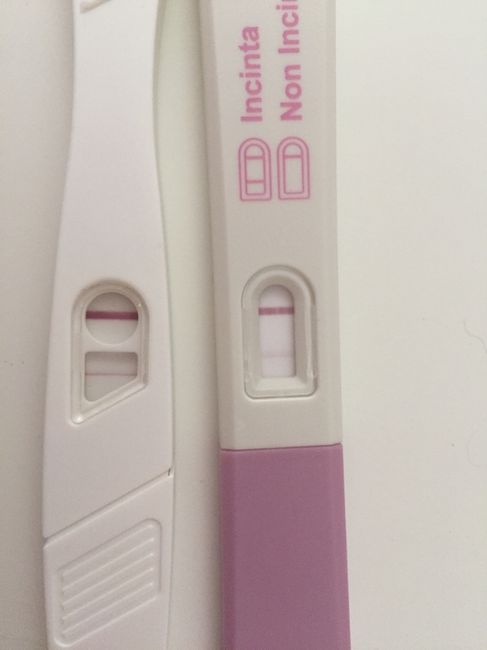Test di gravidanza, seconda linea impercettibile? - 1