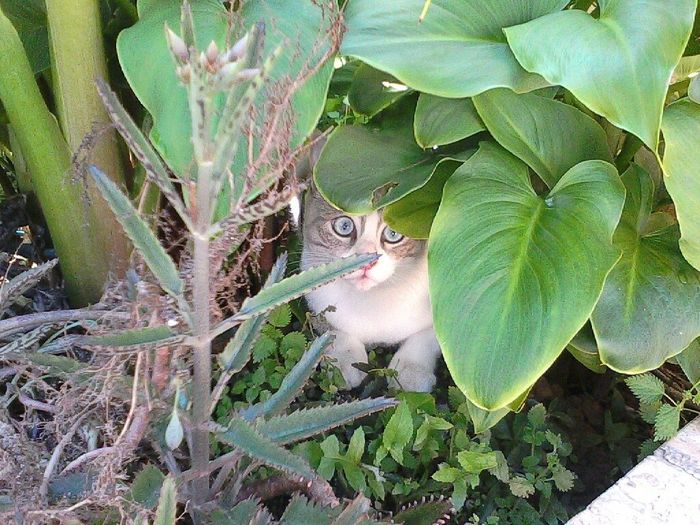 Il nostro piccolino - 4