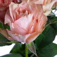 fiori matrimonio - 3