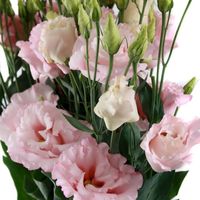 fiori matrimonio - 6